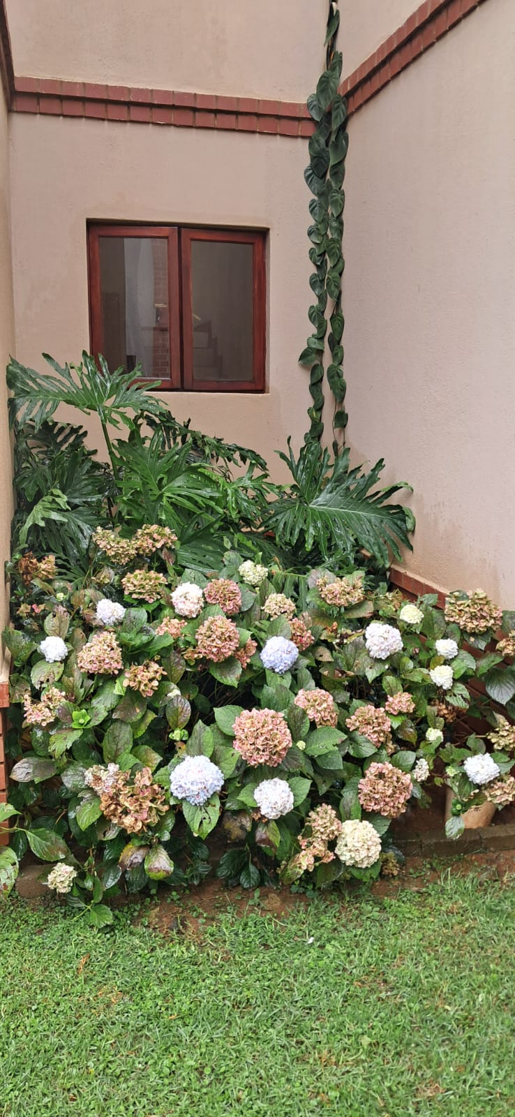 3 Bedroom Property for Sale in Bronberg Close Gauteng