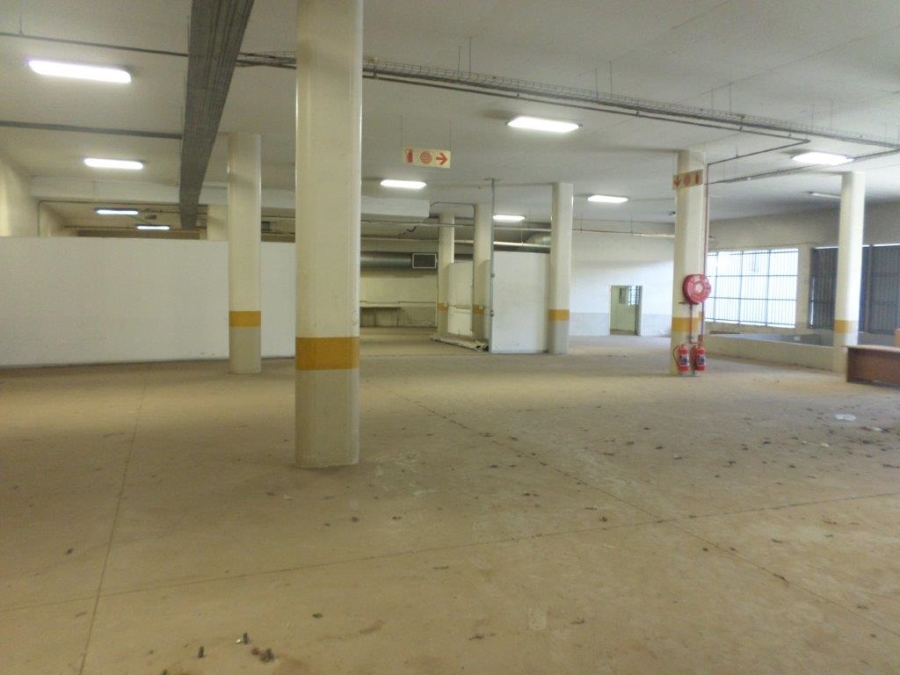 To Let commercial Property for Rent in Weltevreden Park Gauteng