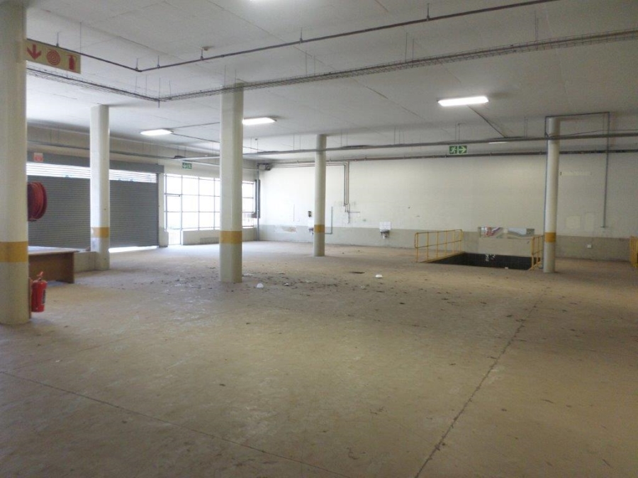To Let commercial Property for Rent in Weltevreden Park Gauteng
