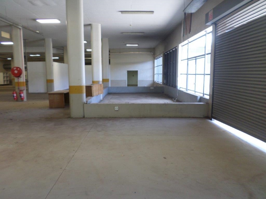 To Let commercial Property for Rent in Weltevreden Park Gauteng