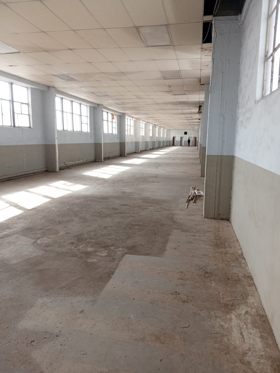 To Let commercial Property for Rent in Heriotdale Gauteng