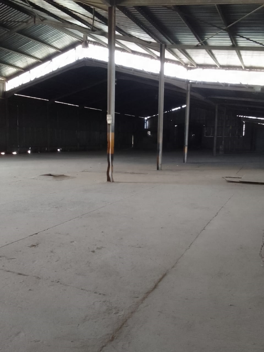 To Let commercial Property for Rent in Heriotdale Gauteng
