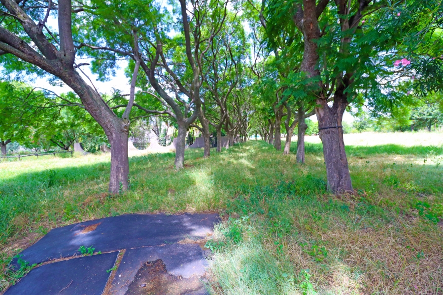 5 Bedroom Property for Sale in Sun Valley Gauteng