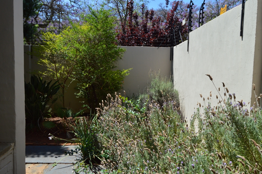 To Let 3 Bedroom Property for Rent in Eastwood Gauteng