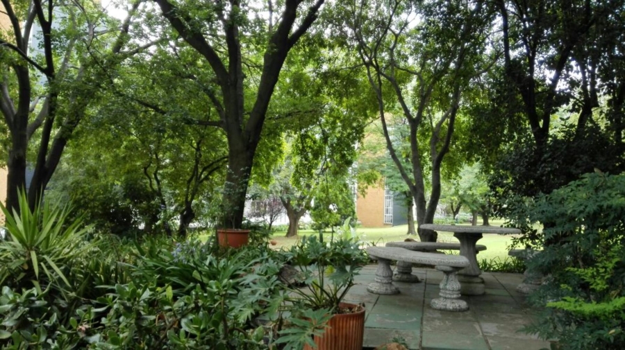 To Let 3 Bedroom Property for Rent in Benmore Gardens Gauteng