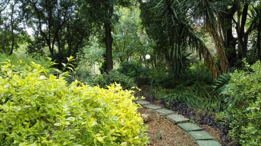 To Let 3 Bedroom Property for Rent in Benmore Gardens Gauteng