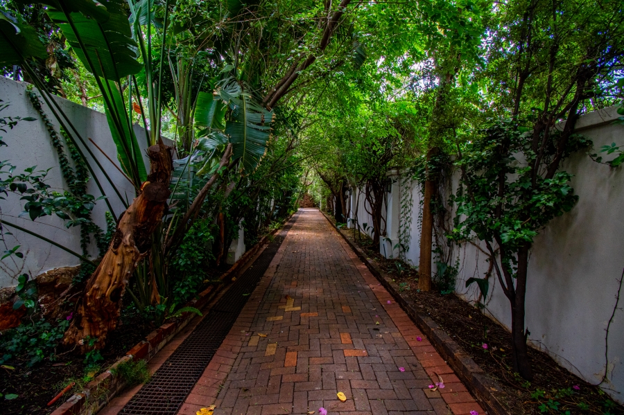 4 Bedroom Property for Sale in Muckleneuk Gauteng