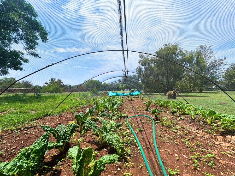 4 Bedroom Property for Sale in Gerardsville Gauteng