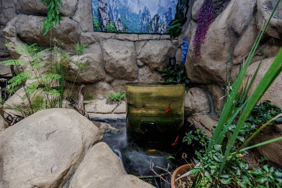 4 Bedroom Property for Sale in Wilro Park Gauteng