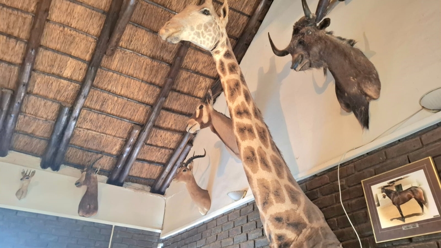 2 Bedroom Property for Sale in Glen Harvie Gauteng