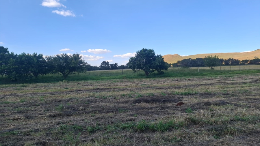 4 Bedroom Property for Sale in Glen Harvie Gauteng