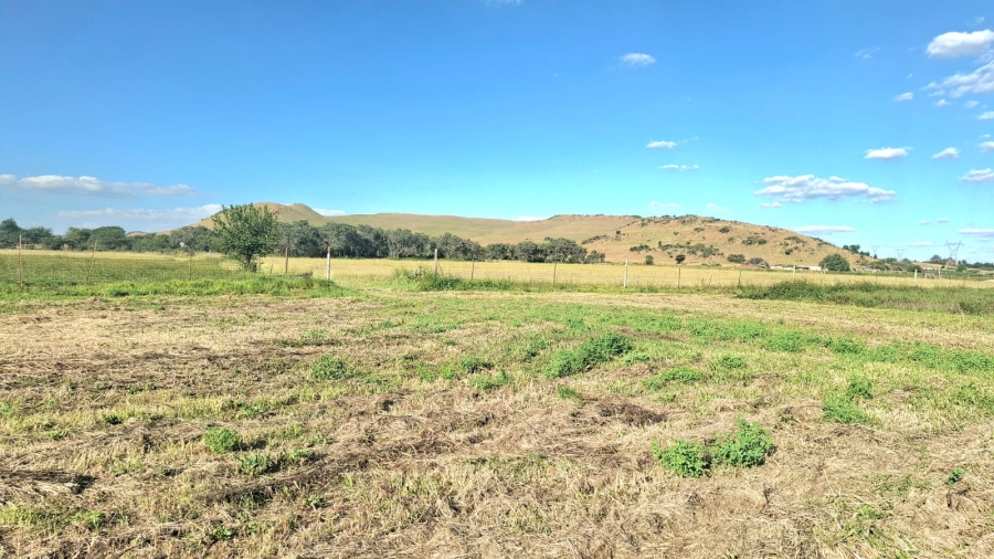 0 Bedroom Property for Sale in Glen Harvie Gauteng