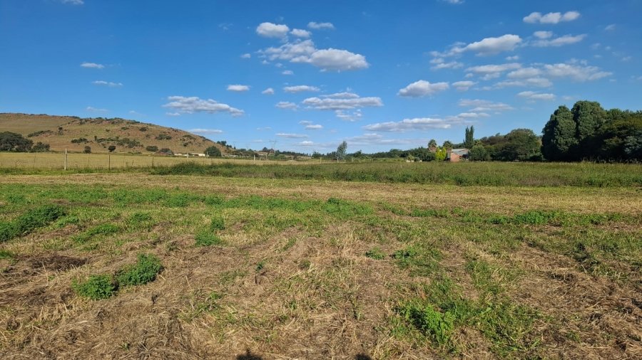 0 Bedroom Property for Sale in Glen Harvie Gauteng