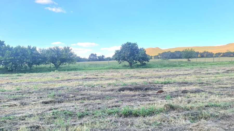 0 Bedroom Property for Sale in Glen Harvie Gauteng