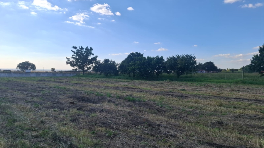 0 Bedroom Property for Sale in Glen Harvie Gauteng