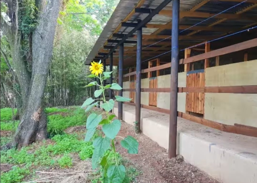 6 Bedroom Property for Sale in Northvale A H Gauteng