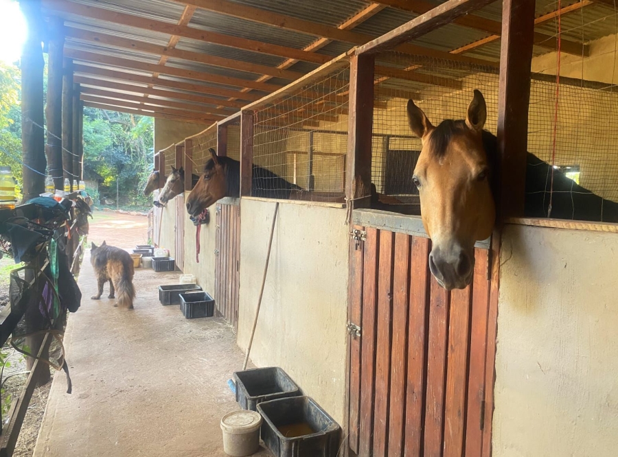 6 Bedroom Property for Sale in Northvale A H Gauteng