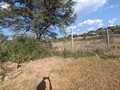 0 Bedroom Property for Sale in Vaaloewer Gauteng