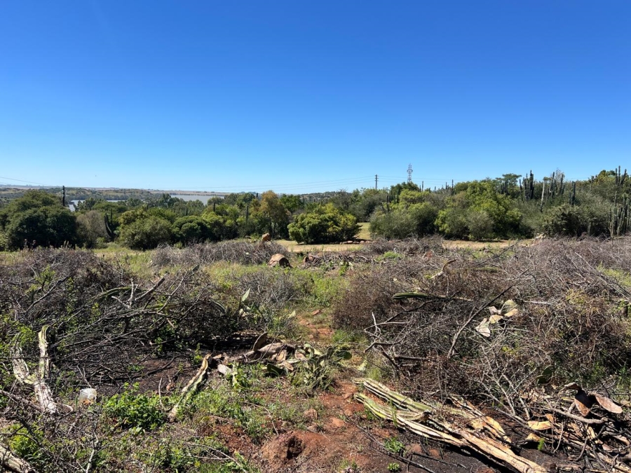 0 Bedroom Property for Sale in Vaal Marina Gauteng