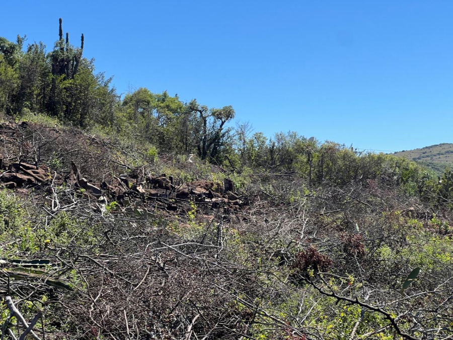 0 Bedroom Property for Sale in Vaal Marina Gauteng