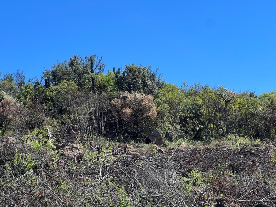 0 Bedroom Property for Sale in Vaal Marina Gauteng