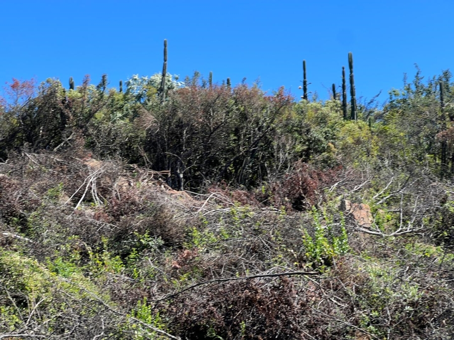 0 Bedroom Property for Sale in Vaal Marina Gauteng