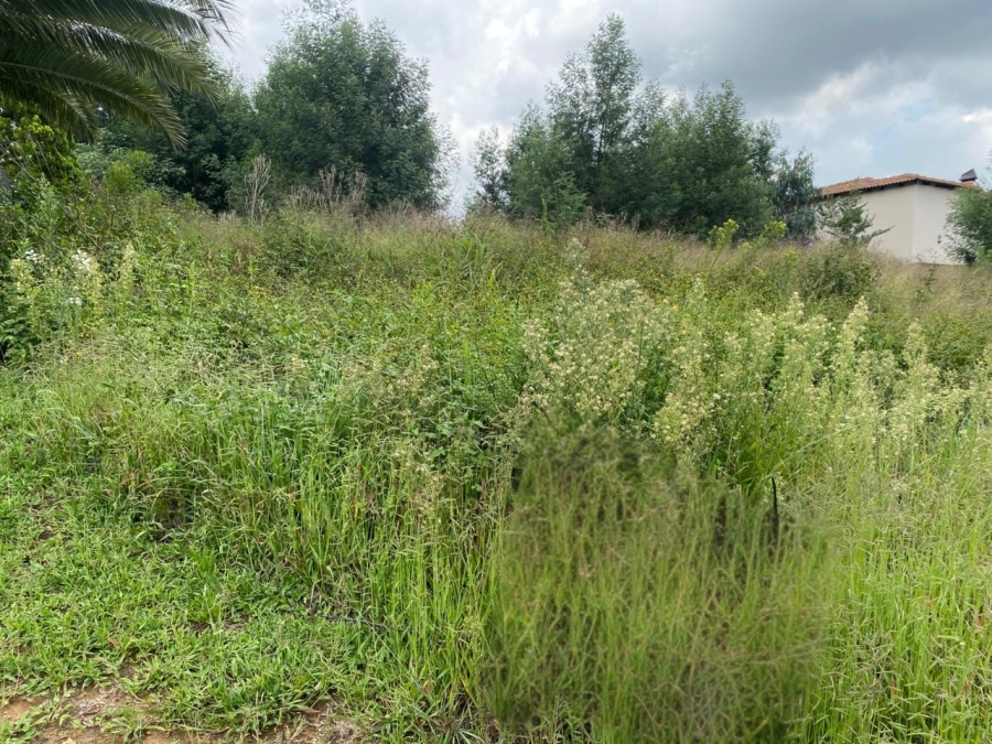 0 Bedroom Property for Sale in Ohenimuri Gauteng