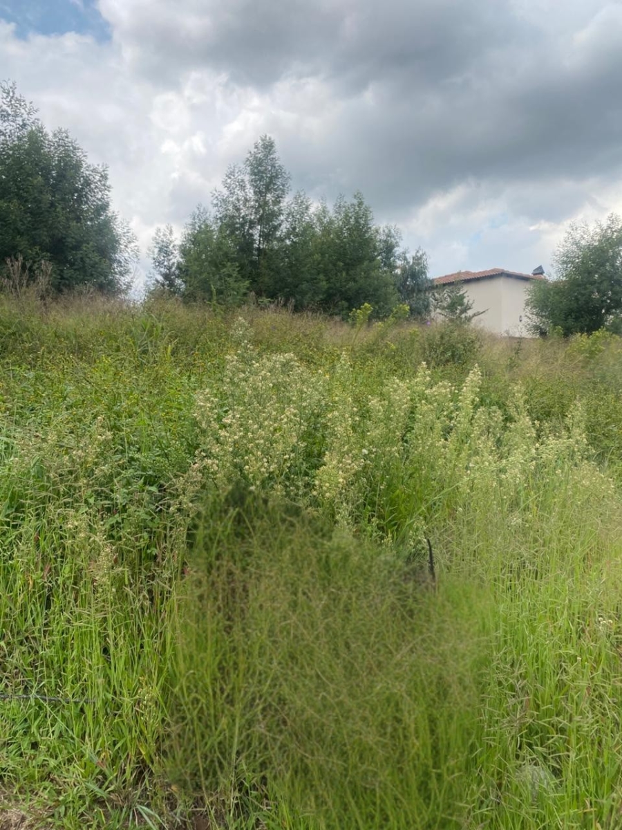 0 Bedroom Property for Sale in Ohenimuri Gauteng