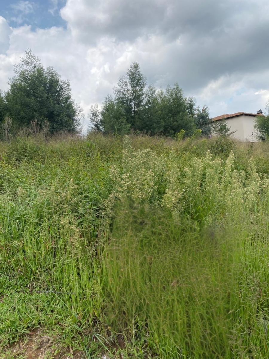 0 Bedroom Property for Sale in Ohenimuri Gauteng