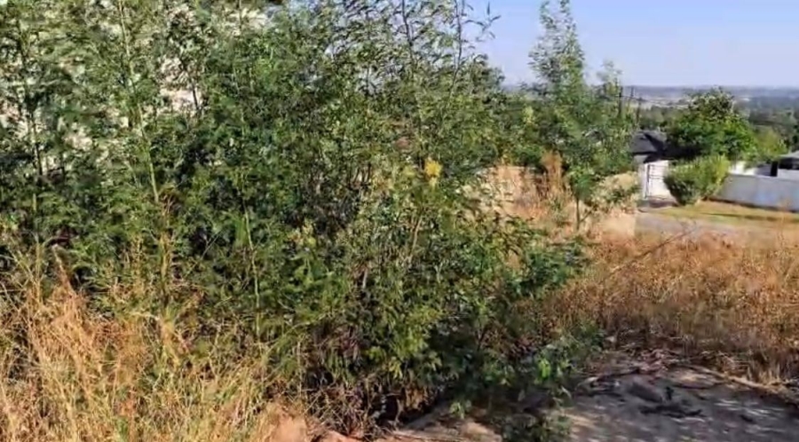 0 Bedroom Property for Sale in Ohenimuri Gauteng