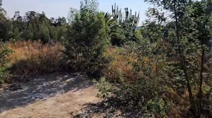 0 Bedroom Property for Sale in Ohenimuri Gauteng