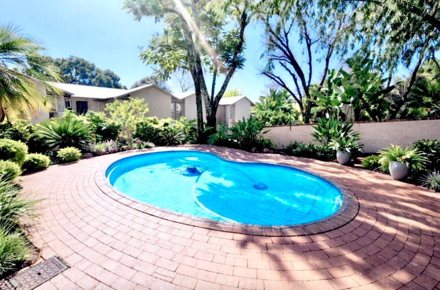 To Let 3 Bedroom Property for Rent in Nieuw Muckleneuk Gauteng