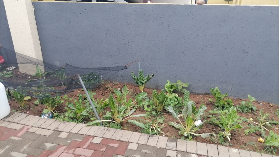 To Let 3 Bedroom Property for Rent in Pretoria West Gauteng