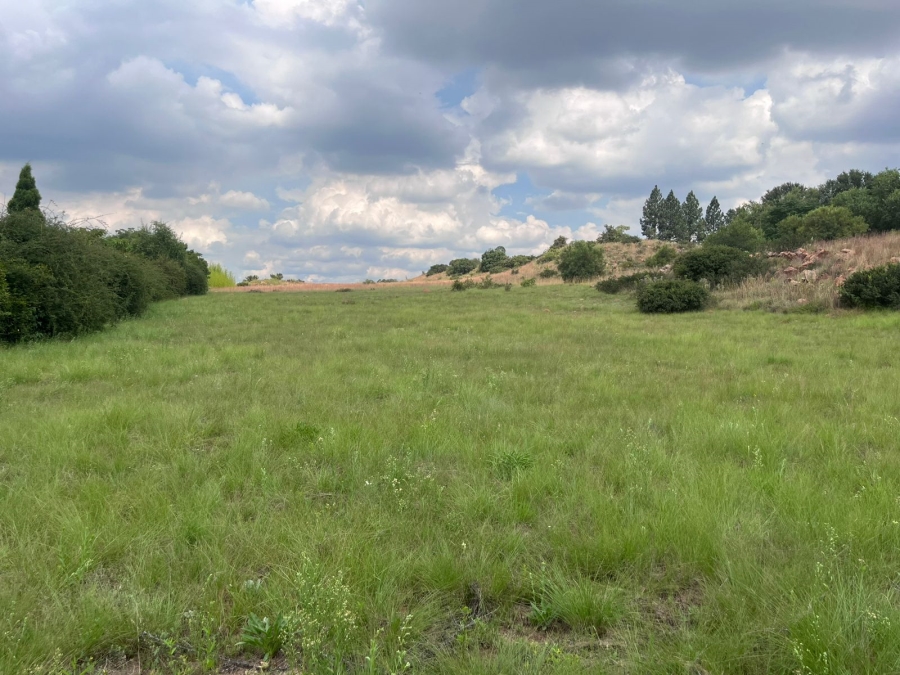 0 Bedroom Property for Sale in Blue Saddle Ranches Gauteng