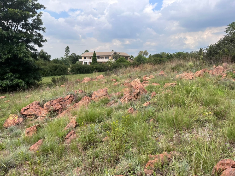 0 Bedroom Property for Sale in Blue Saddle Ranches Gauteng