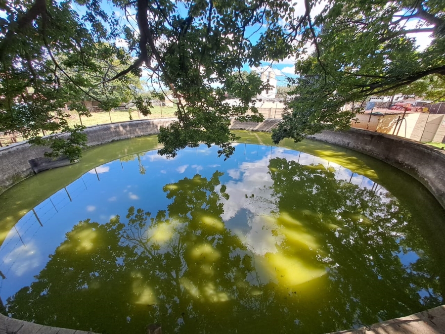 8 Bedroom Property for Sale in Rietfontein AH Gauteng