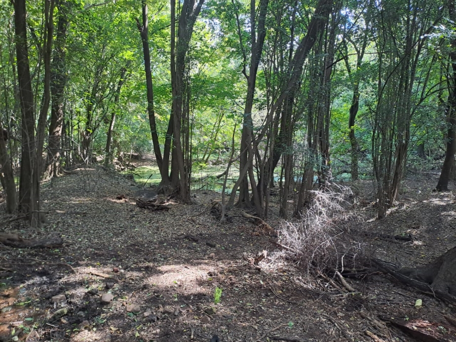 8 Bedroom Property for Sale in Rietfontein AH Gauteng