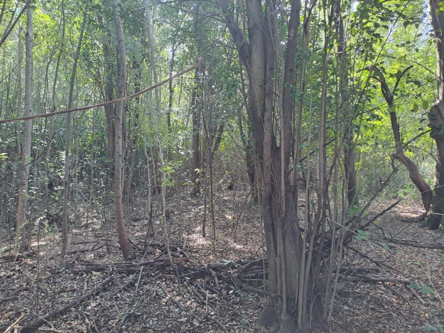 8 Bedroom Property for Sale in Rietfontein AH Gauteng