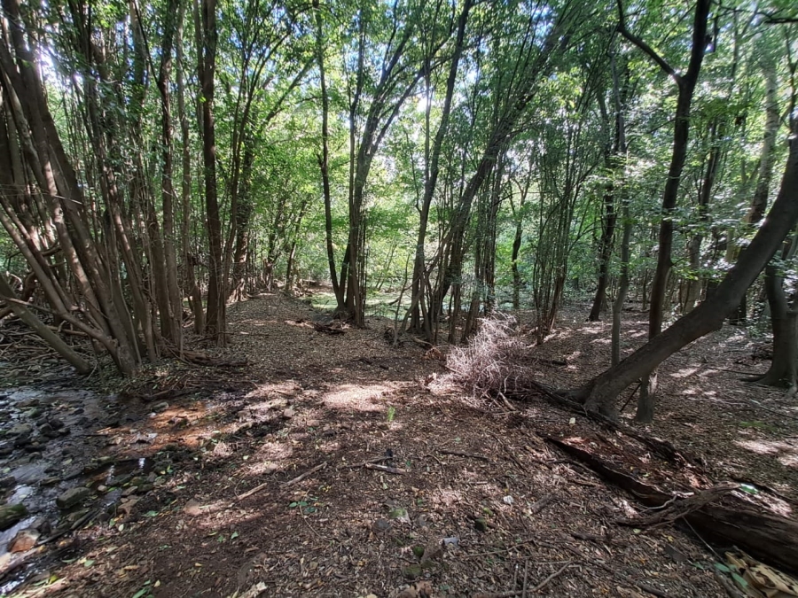 8 Bedroom Property for Sale in Rietfontein AH Gauteng