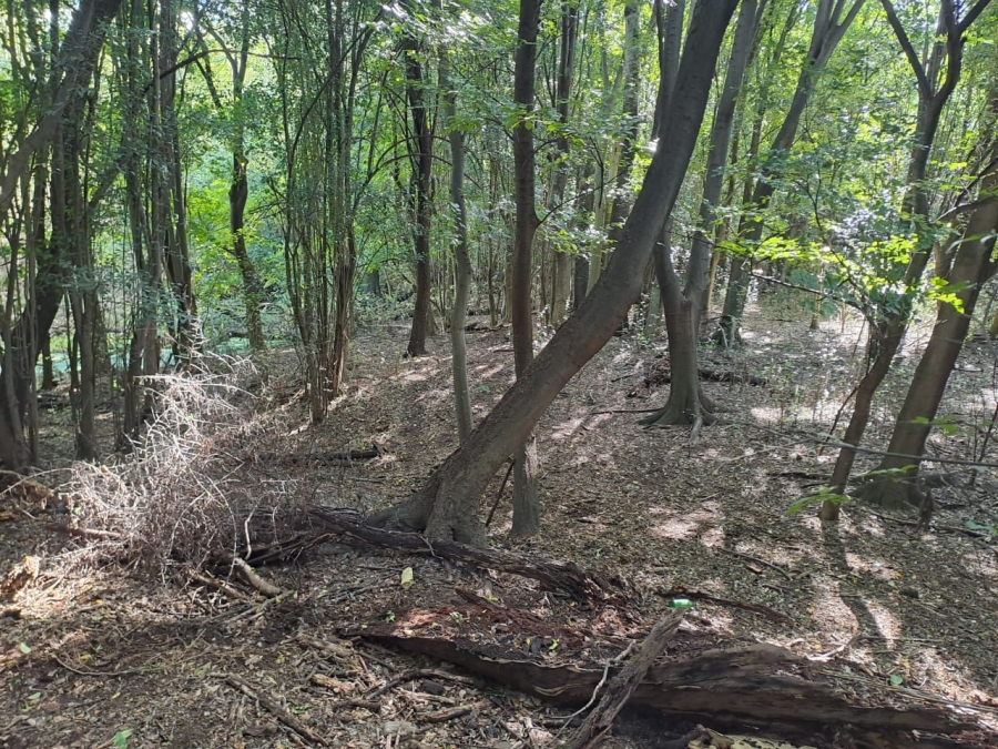 8 Bedroom Property for Sale in Rietfontein AH Gauteng