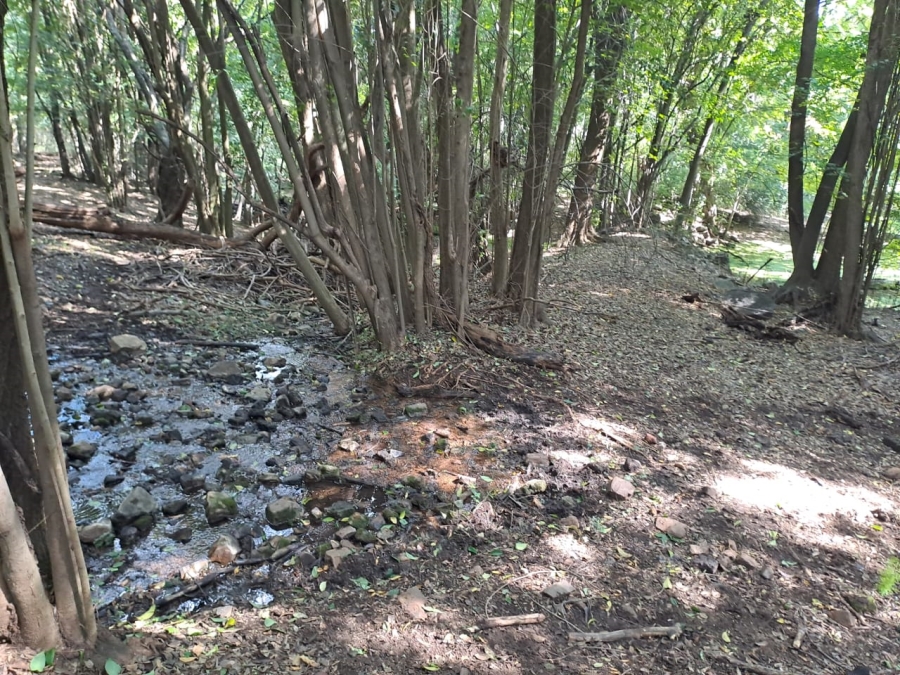 8 Bedroom Property for Sale in Rietfontein AH Gauteng