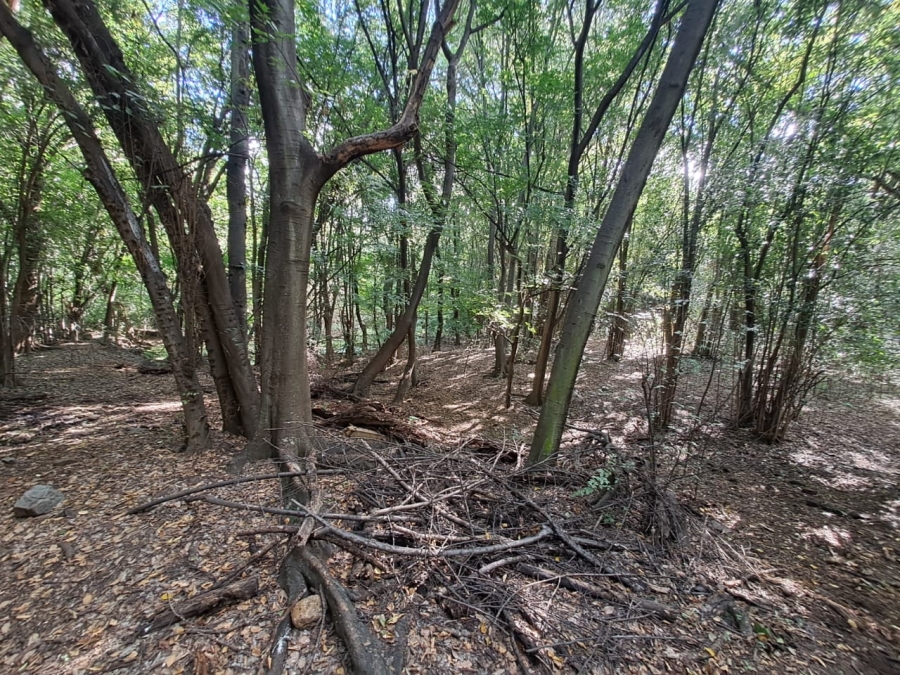 8 Bedroom Property for Sale in Rietfontein AH Gauteng