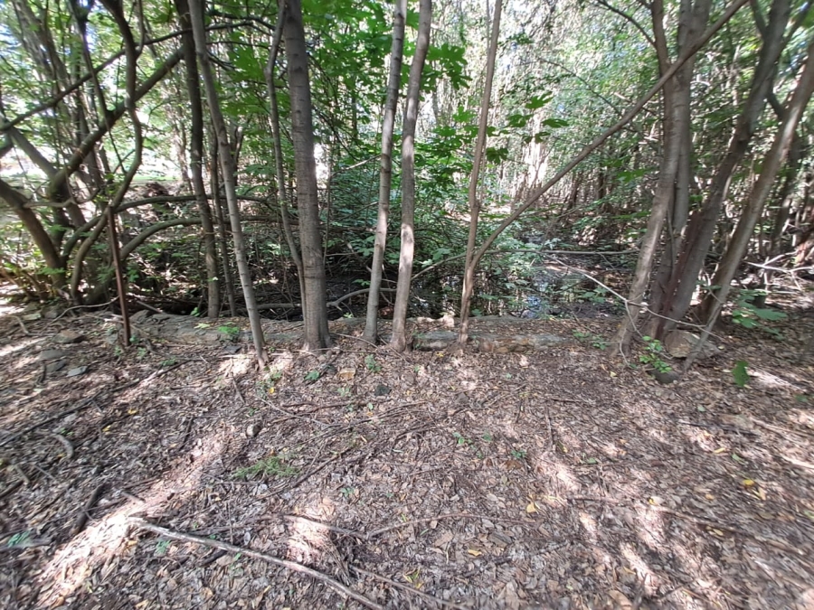 8 Bedroom Property for Sale in Rietfontein AH Gauteng