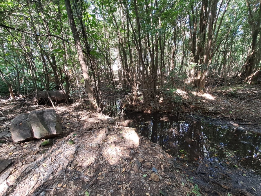 8 Bedroom Property for Sale in Rietfontein AH Gauteng