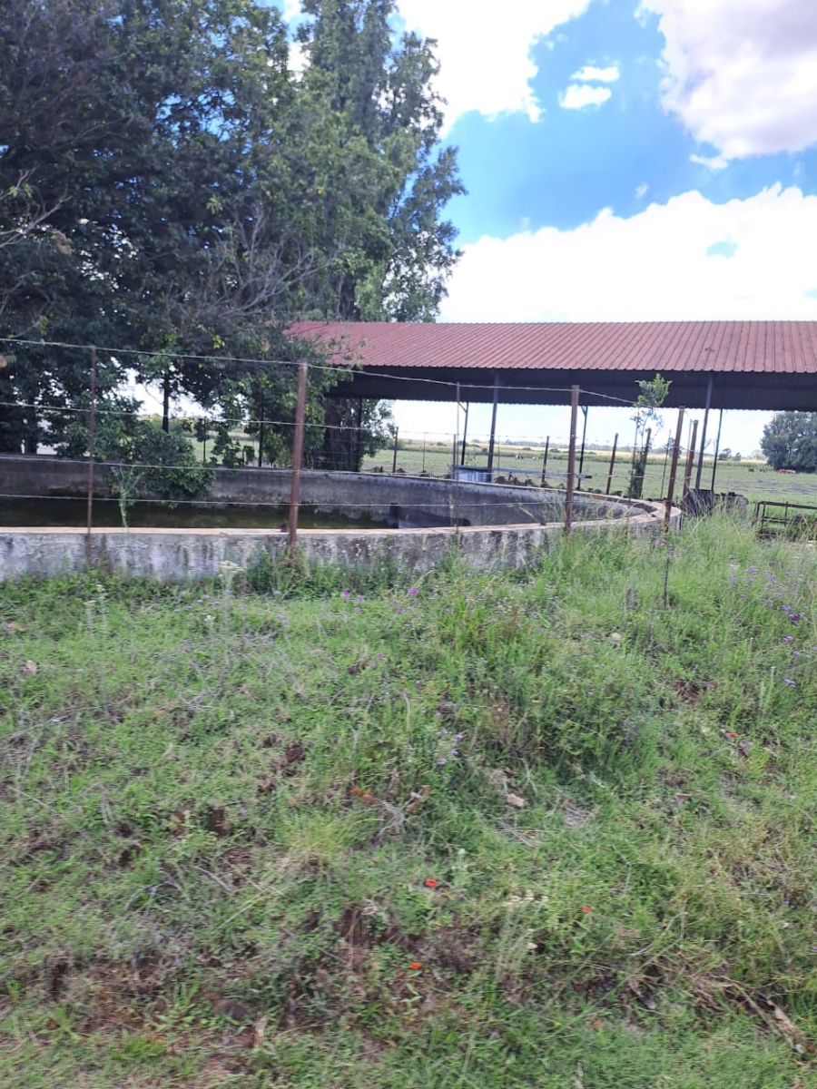 8 Bedroom Property for Sale in Rietfontein AH Gauteng