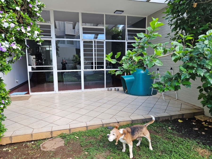 To Let 3 Bedroom Property for Rent in Illovo Gauteng