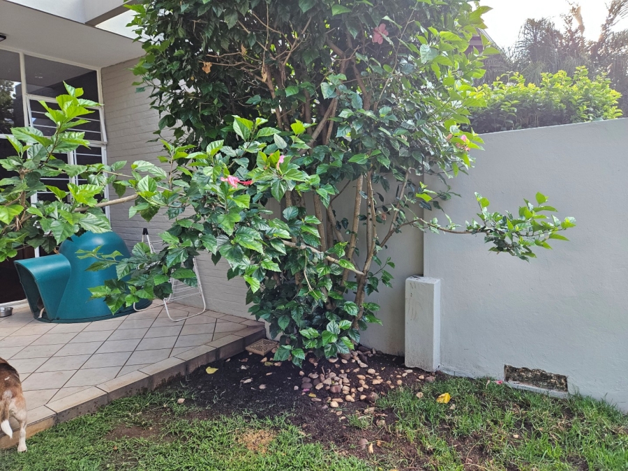 To Let 3 Bedroom Property for Rent in Illovo Gauteng