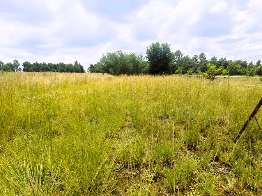 0 Bedroom Property for Sale in Valtaki Gauteng