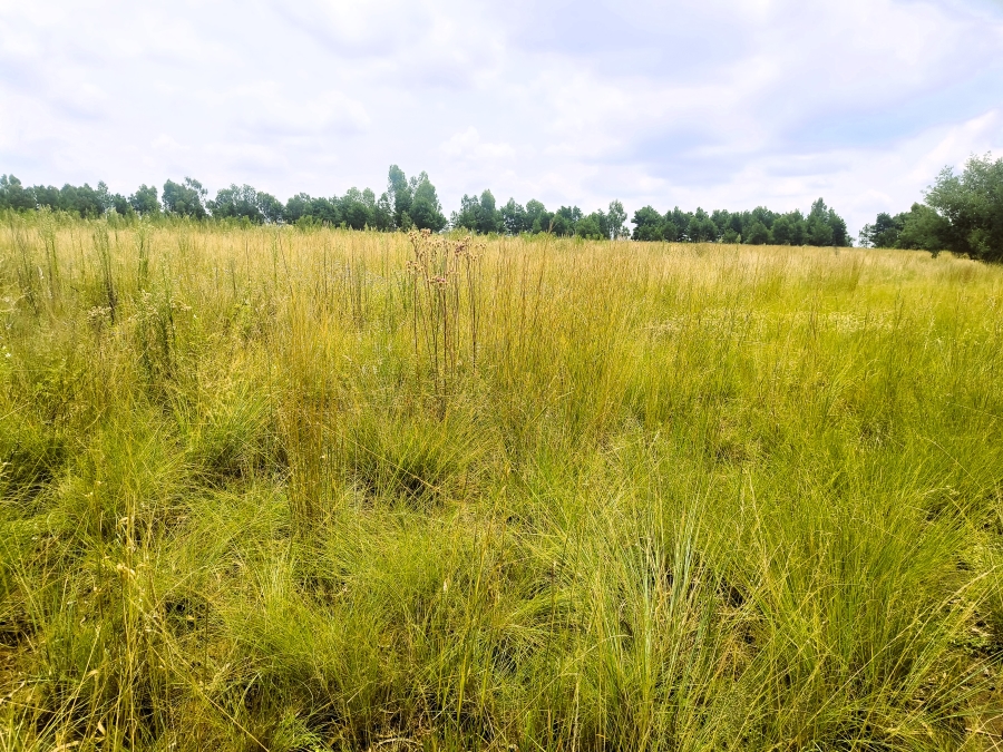 0 Bedroom Property for Sale in Valtaki Gauteng