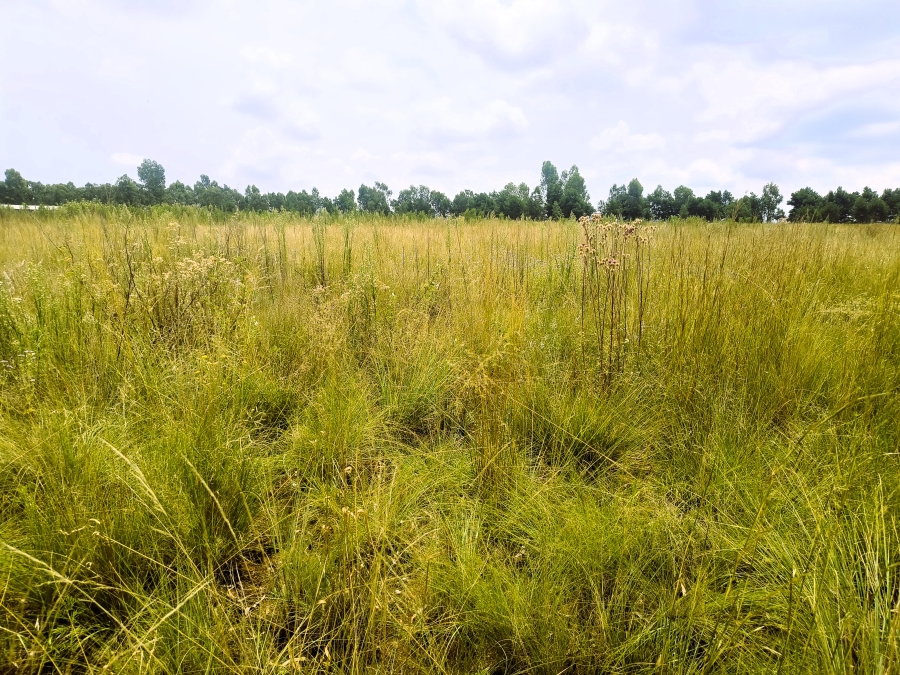 0 Bedroom Property for Sale in Valtaki Gauteng